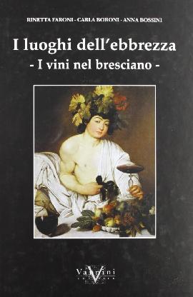 I luoghi dell'ebbrezza. I vini nel bresciano