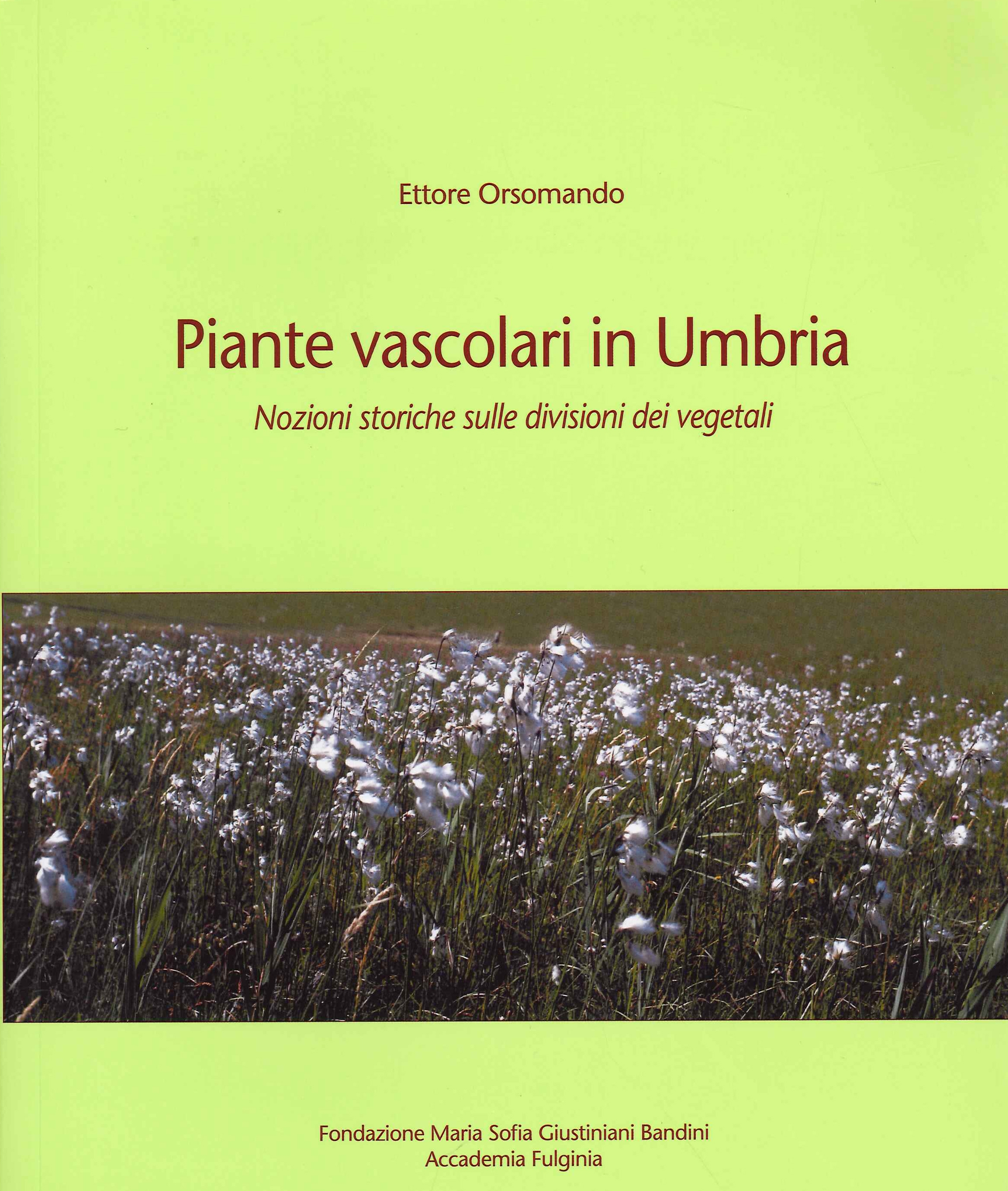 Piante Vascolari in Umbria. Nozioni Storiche sulle Divisioni dei Vegetali - Foto 1 di 1